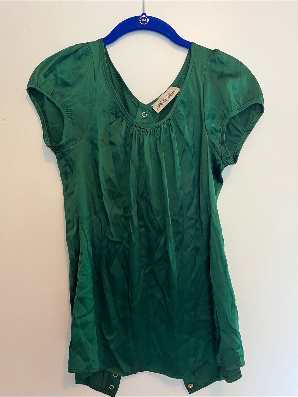 Alisha Levine Green Short Sleeve V-Neck Tunic